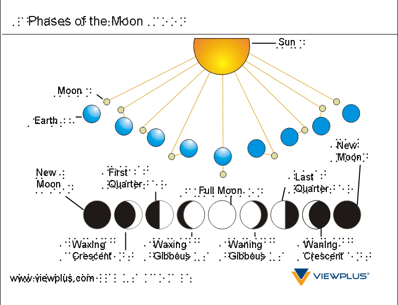 Phases of the moon diagram tactile graphic with braille labels